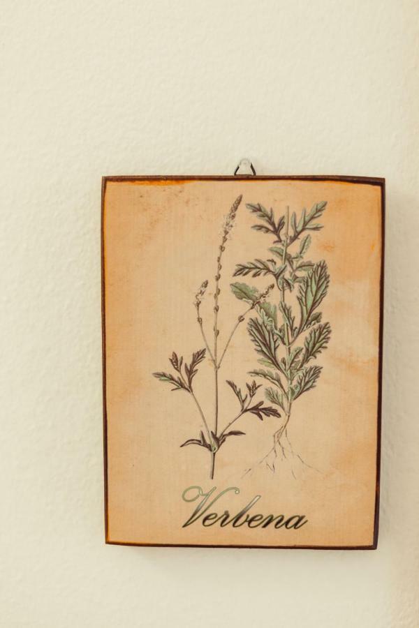 אלגהרו B&B Artemisia מראה חיצוני תמונה