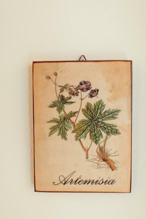 אלגהרו B&B Artemisia מראה חיצוני תמונה